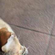 ヒメ日記 2025/07/11 15:53 投稿 あかつき 博多の熟女