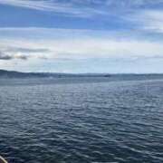 ヒメ日記 2025/07/15 08:23 投稿 あかつき 博多の熟女