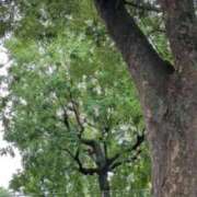 ヒメ日記 2025/07/16 10:53 投稿 あかつき 博多の熟女