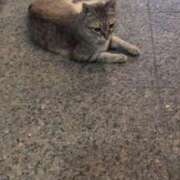 ヒメ日記 2025/07/26 07:13 投稿 あかつき 博多の熟女