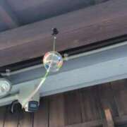 ヒメ日記 2025/07/27 12:23 投稿 あかつき 博多の熟女