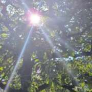 ヒメ日記 2025/08/02 11:30 投稿 あかつき 博多の熟女