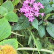 ヒメ日記 2025/08/28 11:33 投稿 あかつき 博多の熟女