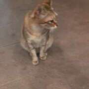 ヒメ日記 2025/08/31 20:13 投稿 あかつき 博多の熟女