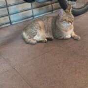 ヒメ日記 2025/09/02 12:23 投稿 あかつき 博多の熟女