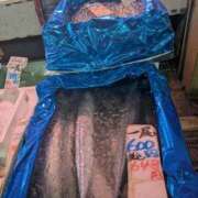 ヒメ日記 2025/09/02 12:28 投稿 あかつき 博多の熟女