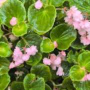 ヒメ日記 2025/09/14 11:23 投稿 あかつき 博多の熟女