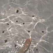 ヒメ日記 2025/09/15 06:23 投稿 あかつき 博多の熟女