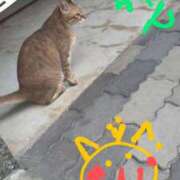 ヒメ日記 2025/09/15 12:05 投稿 あかつき 博多の熟女