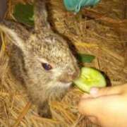 ヒメ日記 2025/09/21 21:29 投稿 あかつき 博多の熟女