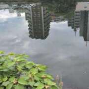 ヒメ日記 2025/09/27 08:13 投稿 あかつき 博多の熟女