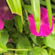 ヒメ日記 2025/10/08 11:33 投稿 あかつき 博多の熟女