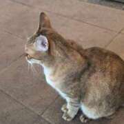 ヒメ日記 2025/10/09 12:43 投稿 あかつき 博多の熟女