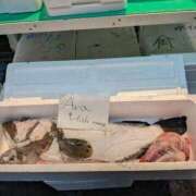 ヒメ日記 2025/10/25 12:05 投稿 あかつき 博多の熟女