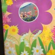 ヒメ日記 2025/11/12 12:23 投稿 あかつき 博多の熟女