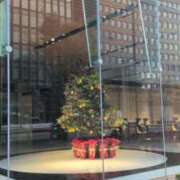 ヒメ日記 2025/11/24 11:53 投稿 あかつき 博多の熟女