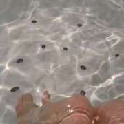 ヒメ日記 2025/11/29 19:23 投稿 あかつき 博多の熟女