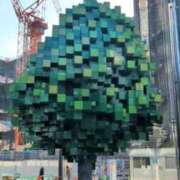 ヒメ日記 2025/12/01 09:53 投稿 あかつき 博多の熟女