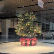 ヒメ日記 2025/12/15 10:13 投稿 あかつき 博多の熟女