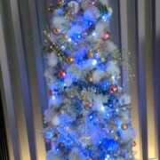 ヒメ日記 2025/12/15 20:33 投稿 あかつき 博多の熟女