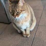 ヒメ日記 2025/12/21 19:13 投稿 あかつき 博多の熟女