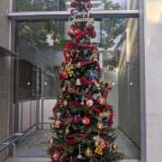 ヒメ日記 2025/12/24 06:13 投稿 あかつき 博多の熟女