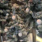 ヒメ日記 2025/12/26 12:43 投稿 あかつき 博多の熟女