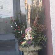 ヒメ日記 2025/12/28 11:13 投稿 あかつき 博多の熟女