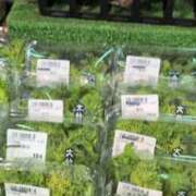 ヒメ日記 2026/01/06 12:33 投稿 あかつき 博多の熟女