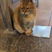 ヒメ日記 2026/01/07 09:03 投稿 あかつき 博多の熟女