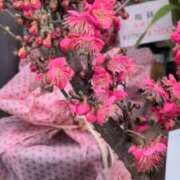 ヒメ日記 2026/01/29 16:13 投稿 あかつき 博多の熟女