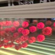 ヒメ日記 2026/02/14 05:23 投稿 あかつき 博多の熟女