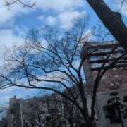 ヒメ日記 2026/02/28 12:23 投稿 あかつき 博多の熟女