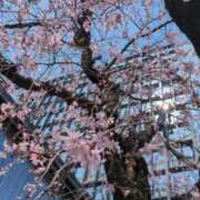 ヒメ日記 2026/03/29 19:13 投稿 あかつき 博多の熟女