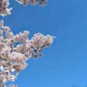 ヒメ日記 2026/04/03 11:13 投稿 あかつき 博多の熟女