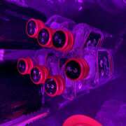 ヒメ日記 2025/06/29 01:14 投稿 りあ みつばちマーヤZ