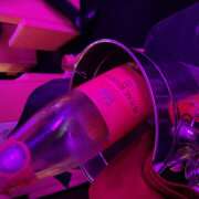 ヒメ日記 2025/07/21 01:24 投稿 りあ みつばちマーヤZ