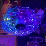 ヒメ日記 2025/07/25 01:19 投稿 りあ みつばちマーヤZ