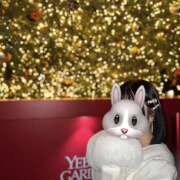 ヒメ日記 2025/11/11 22:24 投稿 りあ みつばちマーヤZ