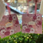 ヒメ日記 2025/11/21 18:36 投稿 りあ みつばちマーヤZ