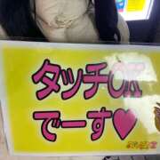 ヒメ日記 2025/12/06 19:51 投稿 りあ みつばちマーヤZ