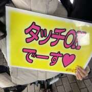 ヒメ日記 2025/12/11 21:33 投稿 りあ みつばちマーヤZ