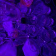 ヒメ日記 2025/12/20 01:33 投稿 りあ みつばちマーヤZ