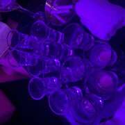 ヒメ日記 2025/12/27 02:01 投稿 りあ みつばちマーヤZ