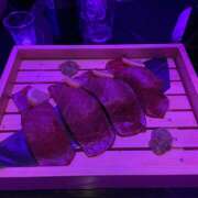 ヒメ日記 2026/01/15 20:28 投稿 りあ みつばちマーヤZ