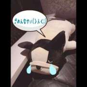 ヒメ日記 2025/04/23 12:18 投稿 なみき 厚木人妻城