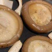 ヒメ日記 2025/05/14 16:07 投稿 なみき 厚木人妻城