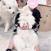 ヒメ日記 2025/08/19 23:08 投稿 アメ【FG系列】 デリぽちゃin柏（FG系列）