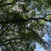 ヒメ日記 2025/04/02 22:15 投稿 愛海-あいみ- 人妻倶楽部 花椿北上店