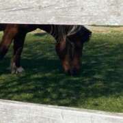 ヒメ日記 2025/08/15 07:52 投稿 愛海-あいみ- 人妻倶楽部 花椿北上店